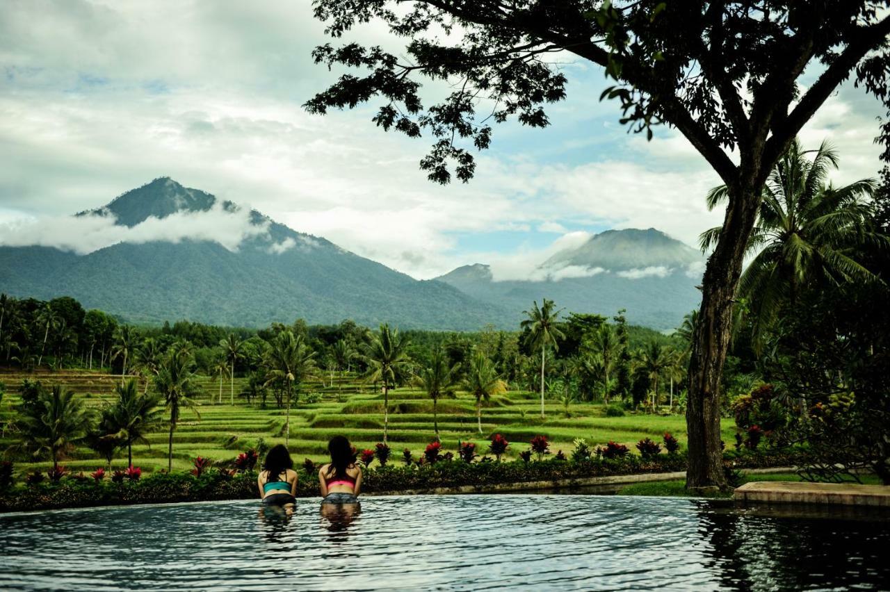 Ijen Resort And Villas - The Hidden Paradise Баньюванги Экстерьер фото